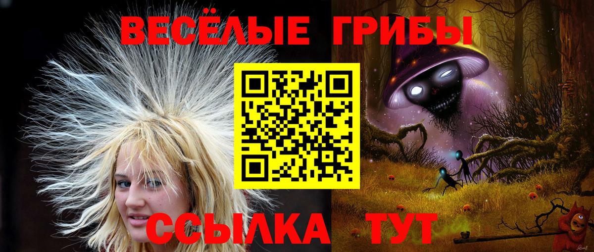 Псилоцибиновые грибы MAGIC MUSHROOMS Саранск